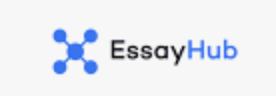 write my essay EssayHub